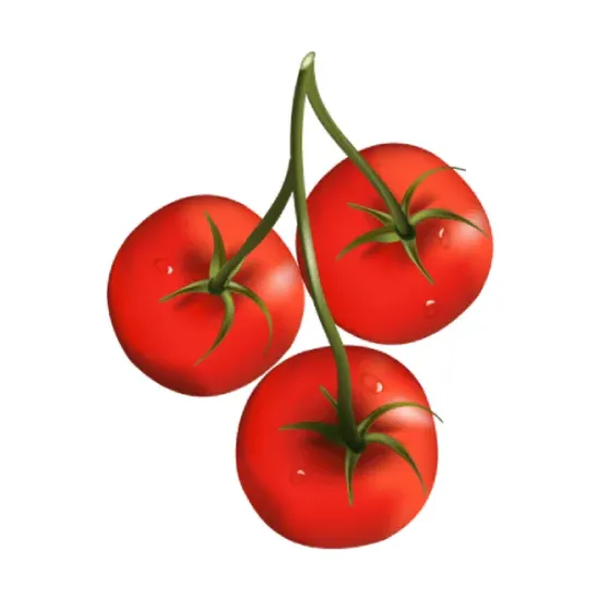 Picture of Tomato Clipart